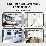 French Lavander 100% Pure Essential Oil 0.34 fl oz (10 ml)