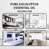 Eucalyptus 100% Pure Essential Oil 0.34 fl oz (10 ml)