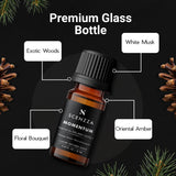 SCENZZA MOMENTUM 10 ML – Inspired By: Delano Hotel