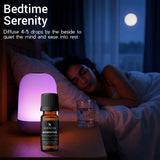 SCENZZA MOMENTUM 10 ML – Inspired By: Delano Hotel